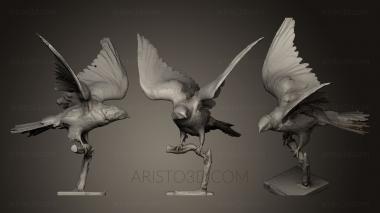 Bird figurines (STKB_0148) 3D model for CNC machine